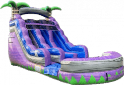 15ft Double Lane Purple Crush Water Slide